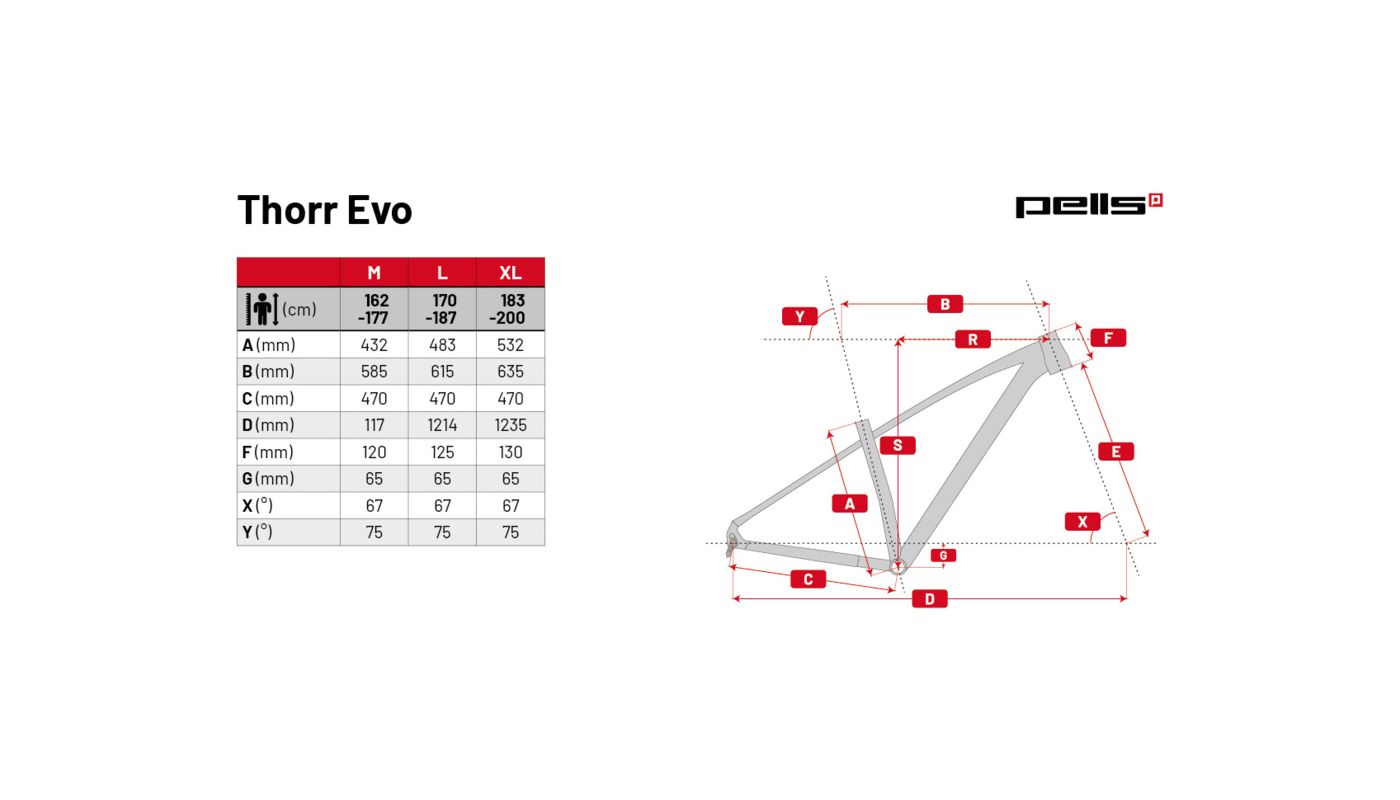 PELLS Thorr EVO 3 Red 2024 - 8